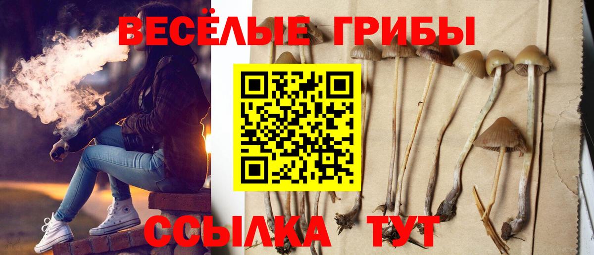 Псилоцибиновые грибы Magic Shrooms Рубцовск